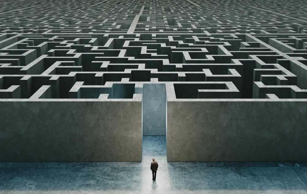 Product Owner Standing In Front Of Entrance Of 3D Maze